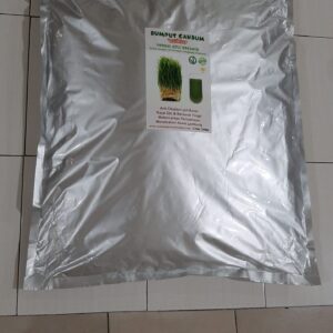 Rumput Gandum Instant Wheatgrass Powder 5kg