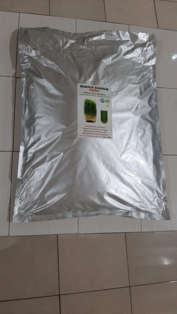 Rumput Gandum Instant Wheatgrass Powder 5kg