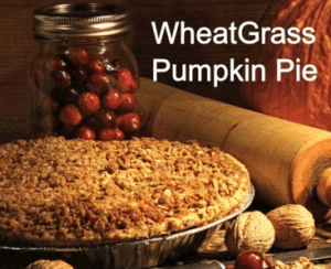 Wheatgrass Pumpkin Pie