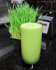 wheatgrass milkshake juice