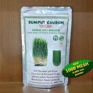 Bubuk Ekstrak Rumput Gandum Instant terbaik di Indonesia Wheatgrass Powder 100g Product 1000 Mesh