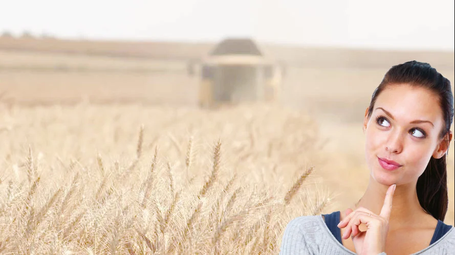 Girl-is-thinking-about-wheat-products-wheat-field-background